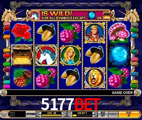 Descubra o Mundo do Cassino Online com 5177bet