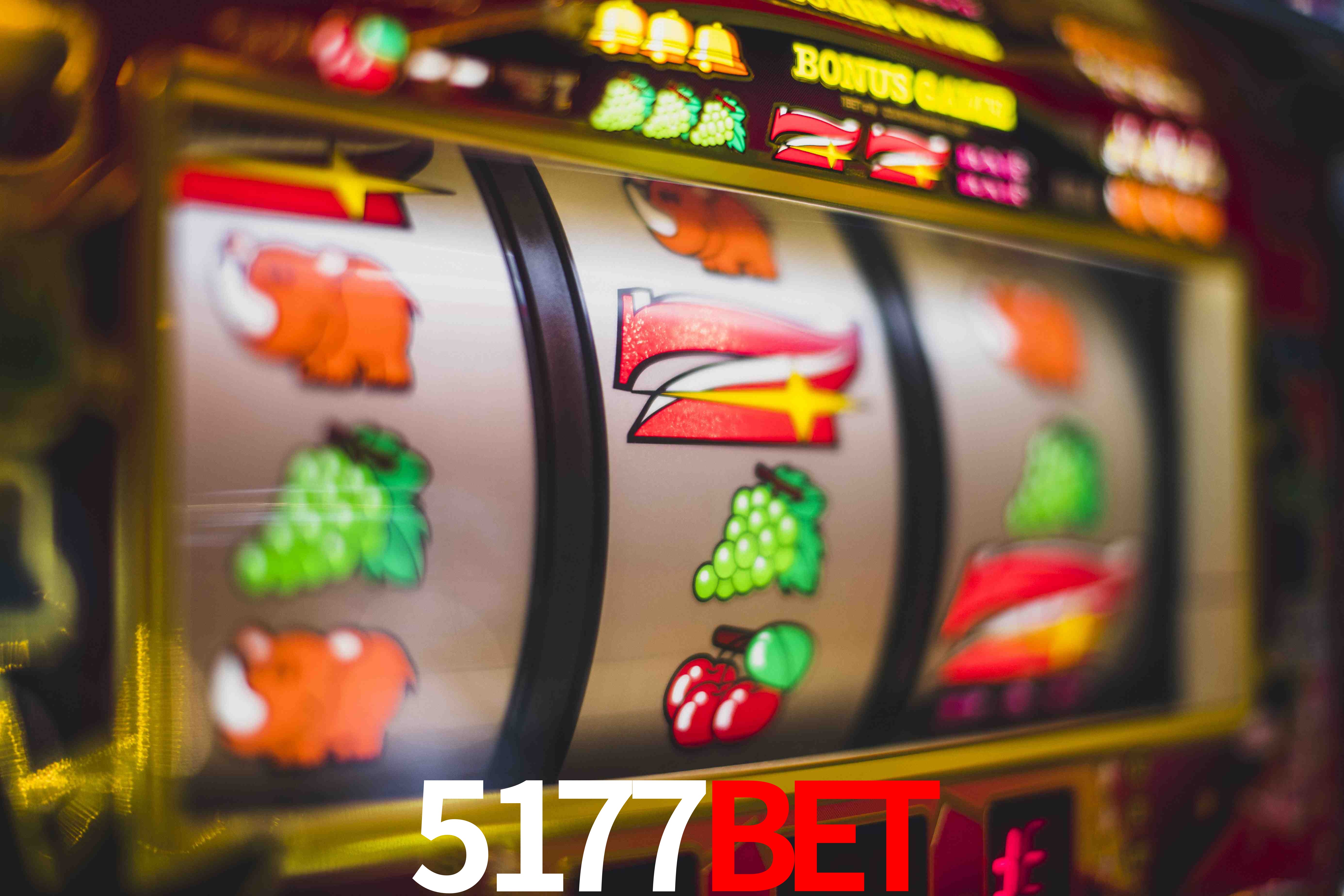 Tennis Betting 5177bet